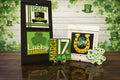 Add On- 4.25 St Patrick’s Day Wood Blanks